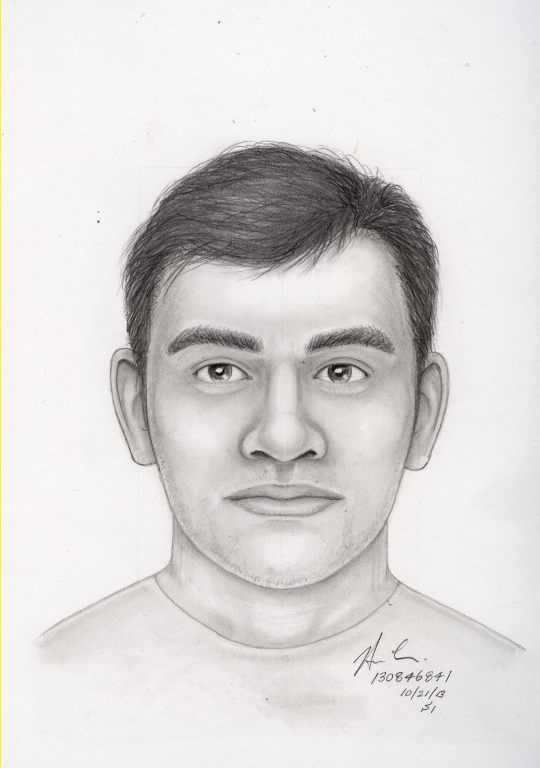 suspect sketch 13-115